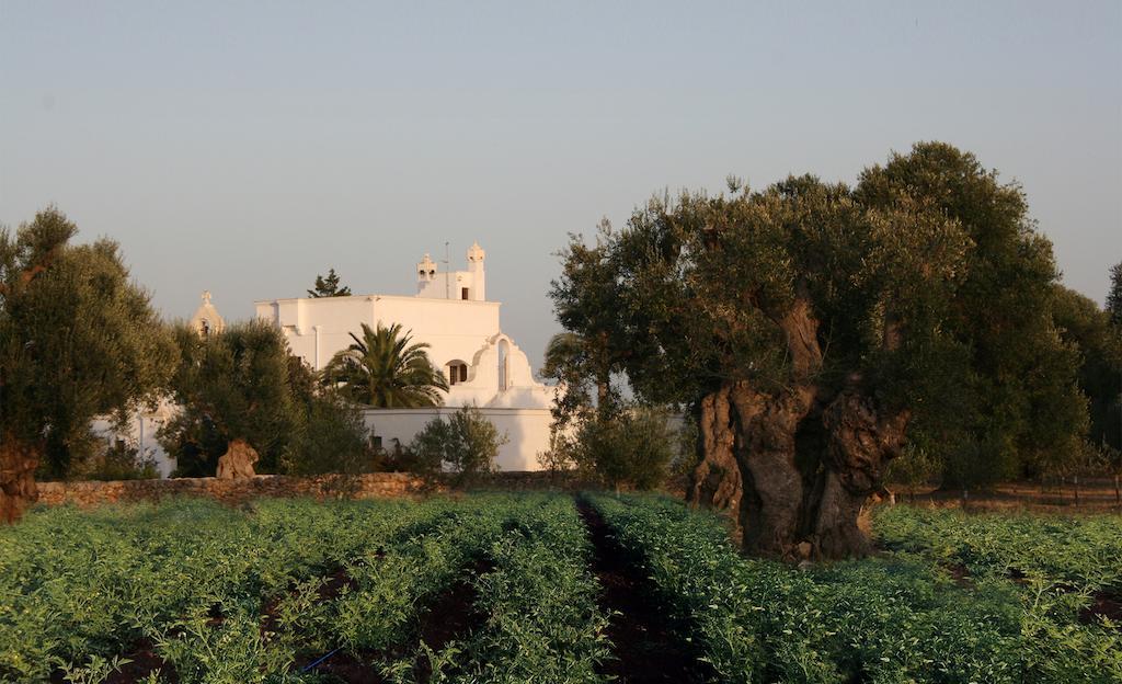 פאסאנו Masseria Torremossa מראה חיצוני תמונה